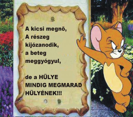 A nap tanulsága - 2012. 11. 08.